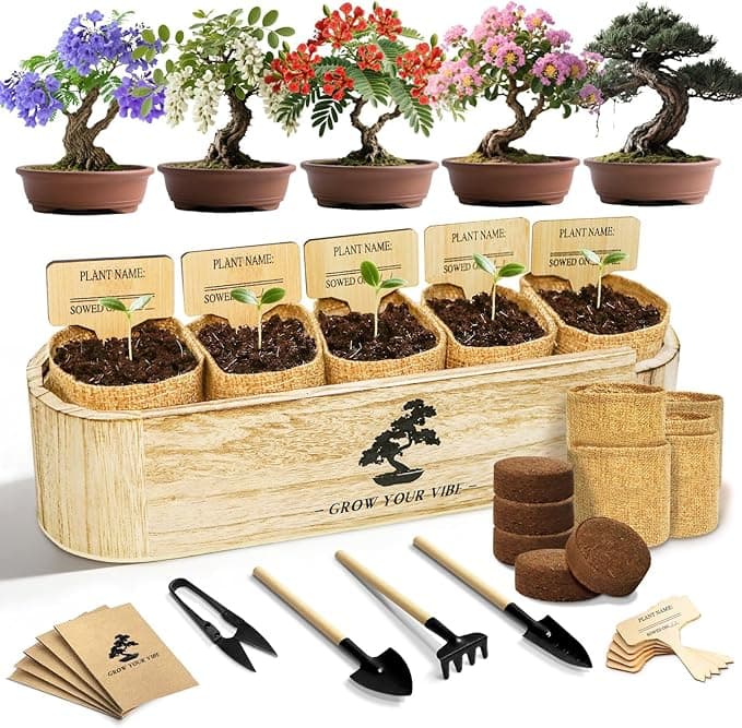 Bonsai Tree Kit for Beginners - Unique DIY Japanese Bonsai Trees,Crafts for Adults, Ideal Gardening Birthday Gift for Women & Men,Complete Indoor Plant Kit